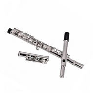 Closed Hole Flute  16 Keys Easy To Learn 63x5cm / 24.8x2in Professional for Musical Instrument