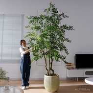 Atmosphere Green Plant Decoration Simulation Landscaping Plant Sense Indoor Living Room Large Ficus 