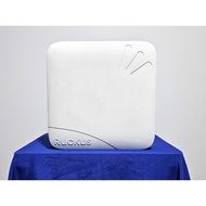 Wireless Access Point Ruckus R700 Dual Band 2.4 Ghz and 5 Ghz 2 Port Gigabit Managed Web Based