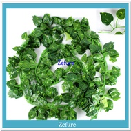 CREEPER LEAVES CREEPER LEAVES CREEPER LEAVES WALL DECORATION PHOTO PROPERTY