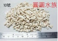 ❤天然珊瑚砂❤ 10號 底砂 20公斤裝 過濾 培菌 園藝 細沙 石頭 珊瑚砂 圓圓水族