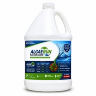 ALGAERUN BLACK ALGAE KILLER – FAST ACTING POOL ALGAECIDE