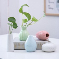 Creative Simple Cute Small Fresh Vase Mini Living Room Desktop Hydroponic Green Dill Flower Arrangem