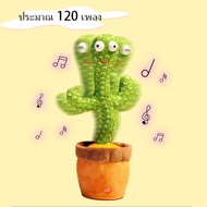 ตุ๊กตากระบองเพชรอัดเสียง มีเพลง เต้นได้ cactus can dance กระบองเพชรเลียนเสียงพูด