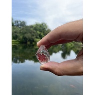 {SG Crystal/Stones} Mini Garden Quartz Freeform