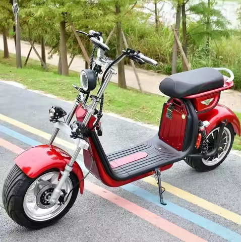 Holland Warehouse New EEC/COC Citycoco 3000W Homologation Electric Scooter With Removable Lithium Ba