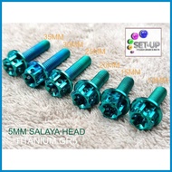 ♆ ◈ ∭ TITANIUM GR5 5MM BOLTS SALAYA HEAD