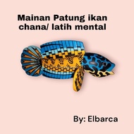 Chana statue mental toy chana barca auranti maru yellow sentarum