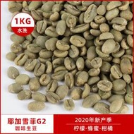 🔥新品特價🌟🉑開發票✨水洗耶加雪菲G2咖啡生豆原料 埃塞俄比亞進口耶佳雪菲豆生豆