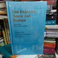 ECONOMICS, social and culture RIGHTS BOOKS