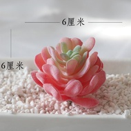 Miniature Fake Flower Succulent Plant Combination Indoor Home Decorations Nordic Style Artificial Gr