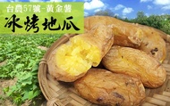 【台農57號冰烤地瓜 600g/包】土壤中的黃金果實 台灣在地好味道