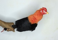 Boneka Ayam  Aduan Latihan Aduan Boneka Ayam AYAM BONEKA AYAM BONEKA AYAM TARUNG  -ADRAHISHOP