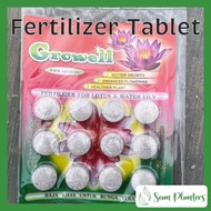 【Sean Planters’】Thailand Fertilizer Tablet for Lotus &amp; Waterlily Aquatic Plants lotus fertilizer waterlily fertilizer (12 tablets) 泰国饼肥催花肥开花肥荷花肥料莲花肥睡莲肥料水生植物肥料 （12粒) Baja Khas Untuk Pokok Teratai Baja Teratai Baja Telepok NPK 10-25-20