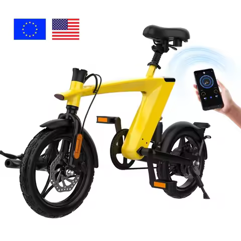 H1 Aluminum Alloy 14" Big Tire Electric Bike 250W Folding E-Bike With 3-Speed And Disc Brakes