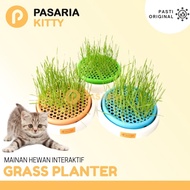 Opo CAT PLAY TOY With Grass Planter Without/ Toys CAT TOY Planting Media With Grass 3 in 1