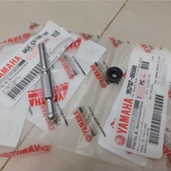 Yamaha clutch adjustment screw.