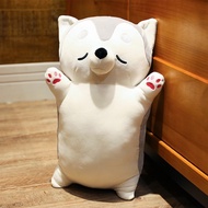 Silly Husky dog stuffed animal - Silly Corgi dog teddy bear