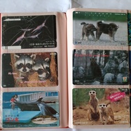 Japan public phone variety used old phone card animals