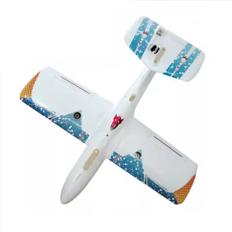 FPV RC Plane 800mm XBIRD V3 Single or Dual Engine EPP Foam Aircraft Model Park Fly
