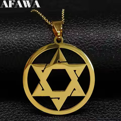 Star Of David Shield Stainless Steel Pendant Necklace Gold Color Chain Hexagram Men Women Jewish Isr