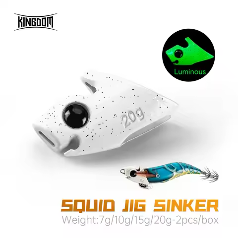 Kingdom 2pcs Squid Jig Sinker Fishing Tackle 7g 10g 15g 20g Sinking Luminous EGI Sinker Octopus Cutt
