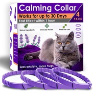 4 Pek Kolar Penenang untuk Kucing – Kolar Penenang Kucing Feromon Melegakan Kebimbangan dan Tekanan 