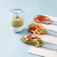 (ZCFJ) Countertop Sprouters Sprout Growing Kit Reusable Household Kitchen Bean Plants Sprouting Syst