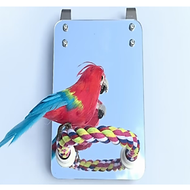 1 gương soi (mã GS01) kết hợp thanh ngang dây dù dùng cho chim, vẹt đứng và chơi (treo trong lồng)