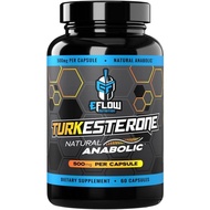 eFlow Nutrition Turkesterone Supplement for Men [Highest] + Cyclodextrin for High Absorption - Incre