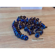 TITANIUM / GOLD Screw Universal M6*15