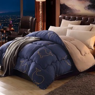 4 Seasons Down Duvet Comforter 200*230cm Size Winter Quilt Warm Home Cover Duvet Quilt 220*240cm Thi