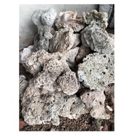 Natural Coral Rock 5kg Marine Rock/ deco Cichlid tank