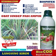 Obat Sundep Padi Paling Ampuh BIOPATEK 500ML Fungisida dan Bakterisida Hayati Obat Penyakit Sundep Pada Padi - Obat Padi Hama Sundep - Obat Sundep Padi Sawah Terbaik Murah Laris - Obat Sawah Sundep Paling Bagus 100% ASLI