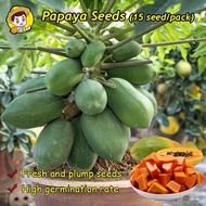10Seeds Bonsai Papaya Seeds for Planting Fruit & Vegetable Plants Fresh Fruit Seeds Red Lady Dwarf H
