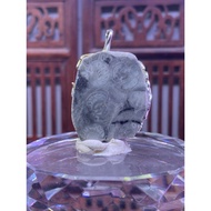 6A Grade Ammonite Crystal pendant (螺化石)-10.5g