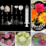 3D Gelatin Jelly Art Tools 10 PCS Stainless Steel Jelly Needle with Syringe Cake Decoration Tool (Se