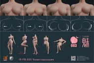 (Pre-order) I8TOYS I8-FB-003-A / I8-FB-003-B 1/6 魅鉑金矽膠全包膠素體CHARM Female Body