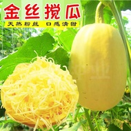 Golden Shredded Grilled Melon Seeds Grilled Melon Seeds Golden Melon Natural Vermicelli Seeds Melon 