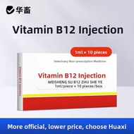 Vitamin B12 Injection for Animals Digestive Disorders Motion Disorders Swine Disease Oral Inflammati