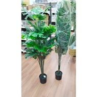Pokok Hiasan Monstera 150cm