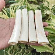 ONCE PIPA CANGKLONG IGA DUYUNG KRISTAL SUPER GURIH MELENGKUNG