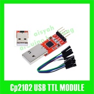 CP2102 USB 2.0 to TTL Module Serial Converter includes cable