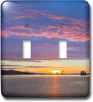 3dRose lsp_229401_2 double toggle switch