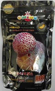 Okiko Platinum Head Huncher Color Fast Flowerhorn Fish Food Feed Floating Pellet 100g