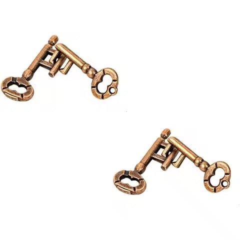 2 Pair Sets o Metal Brain Teaser Puzzle Keys, Assembly & Disenment Puzzles, IQ Logical Games, idget 