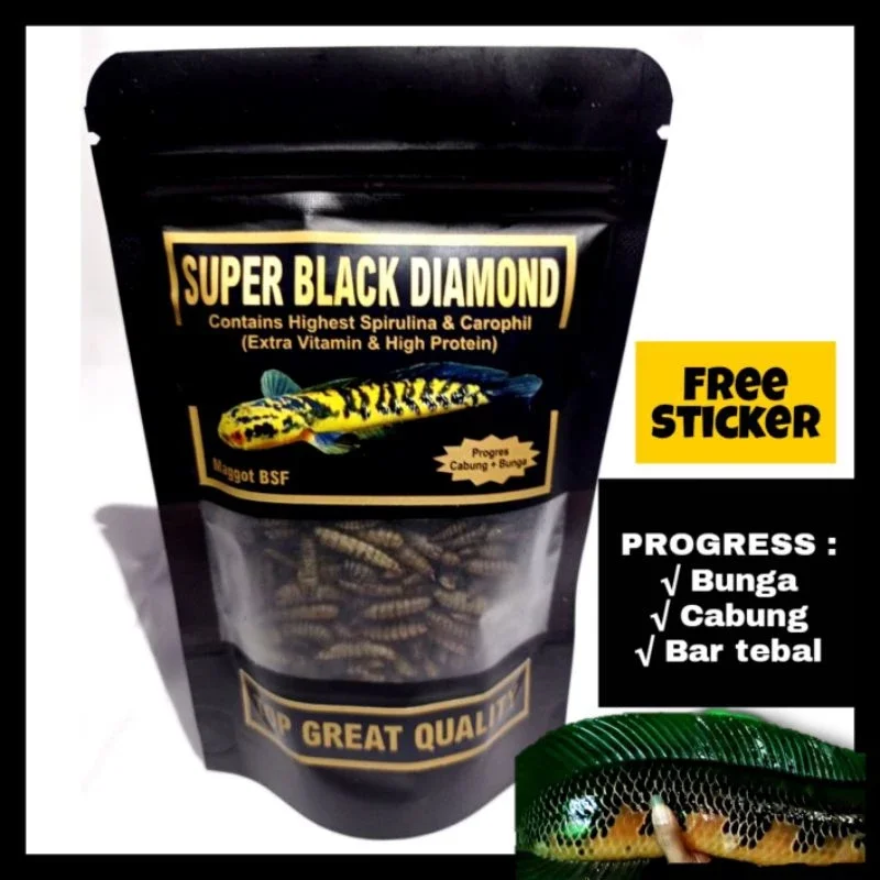 Maggot Super Black Diamond Pakan Ys Maru Progress Bunga Batik