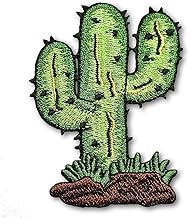 Patchicon4u Green Saguaro Cactus Desert Plant Cute Nature Cacti Cartoon Iron on Sew on Embroidered A