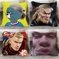 Harland Funny Emoticon Pack Pillow Cushion|Car Lunch Break Pillow