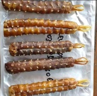 Tangkur buaya asli kalimantan